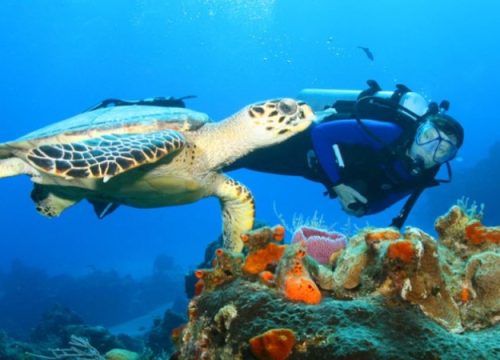 Watamu Marine Park