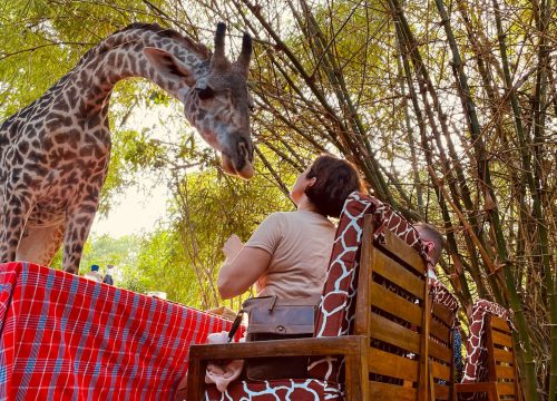 Half Day Bora Bora Wildlife Park Tour