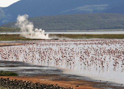 3 Days 2 Nights The Great Lakes of Kenya Safari From Nairobi