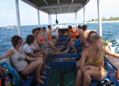 Glass Boat/Fish Feeding/Coral Reef/ Robinson Island/Snorkeling Excursion
