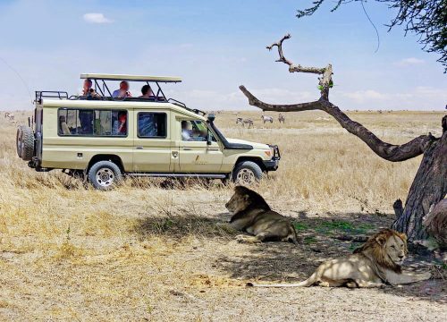 12 Days 11 Nights Safari Jumbo Departing Nairobi