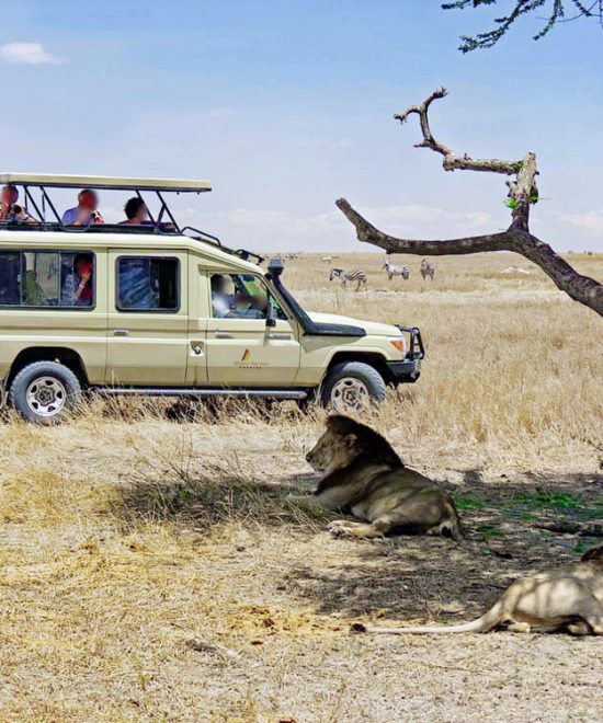 Safaris From Mombasa