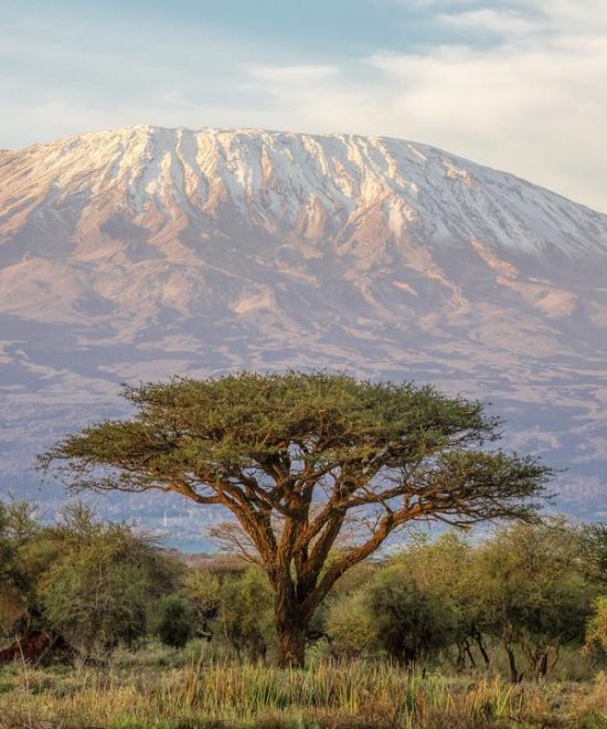Amboseli Safari Holidays