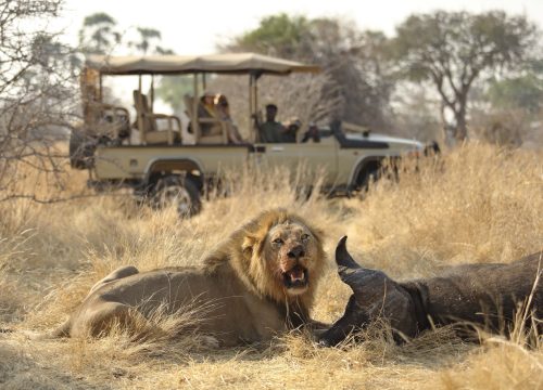 7 Days 6 Nights Safari Mufasa Departing Nairobi