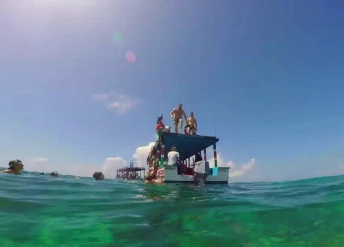 Dolphin Tour/Kisite Marine Park/Snorkeling/Traditional Swahili Food Lunch At Wasini Island