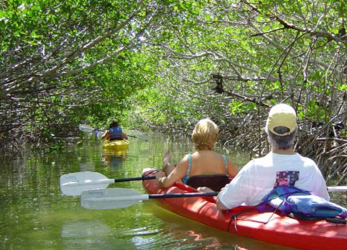 Funzi Island/Mangroove Tour/ Crocodile Spotting/Sandbank Sunbathing & Swimming/Sea Food Lunch/Island Village Walk