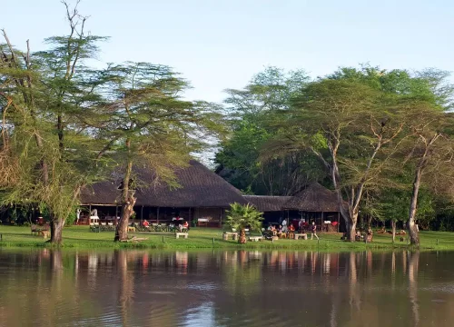 3 Days 2 Nights Safari Mamba (Crocodile) - Walking Safari -Night Game Drive